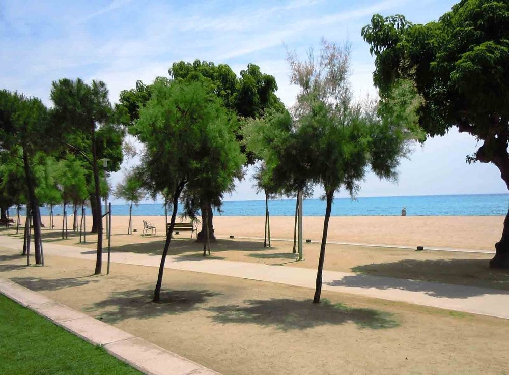 Camping Bellsol Pineda de Mar Dış mekan fotoğraf